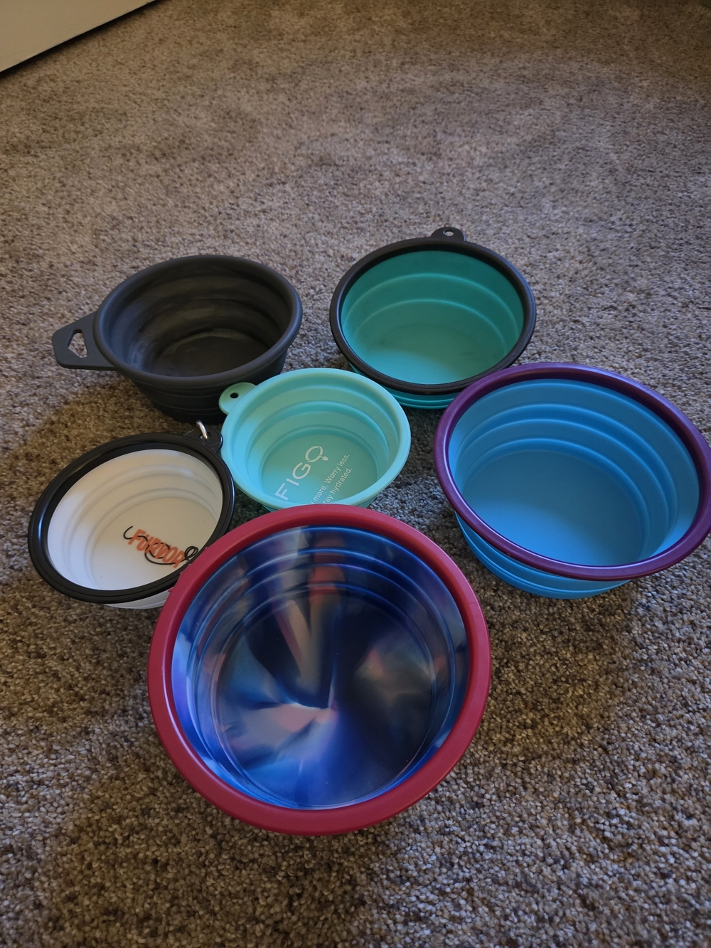 Collapsible Silicone Pet Bowls - Assorted Blue, Teal, Pink